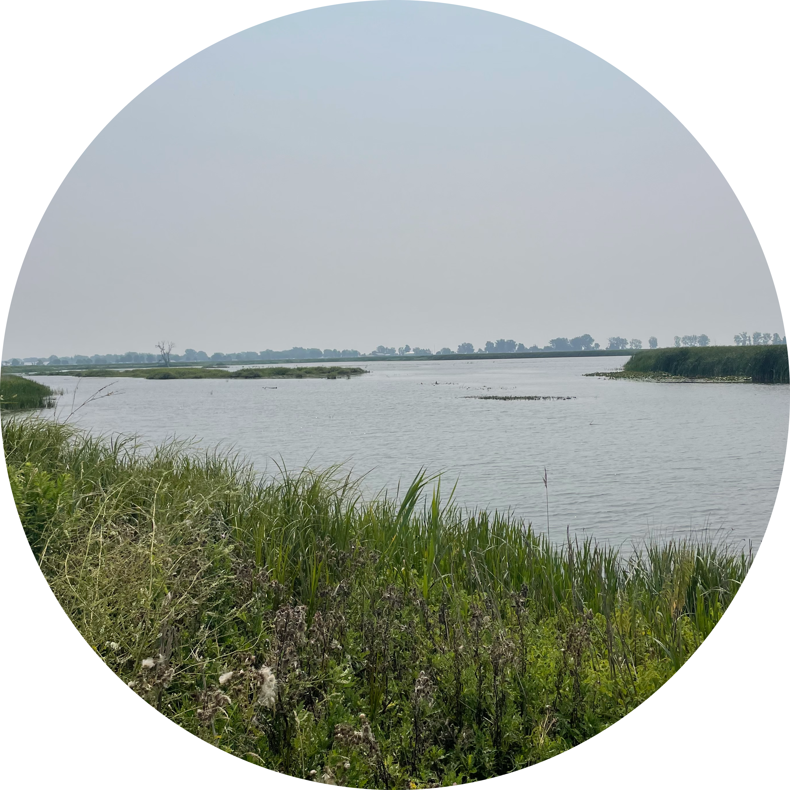Two Lakes Acupuncture & Qigong